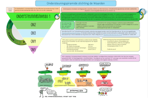 Ondersteuningspiramide